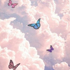 Meet your Posher, Lucy